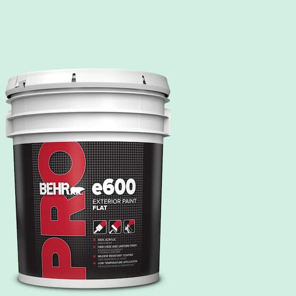 BEHR PRO 5 gal. #P420-1 Spring Frost Flat Exterior Paint