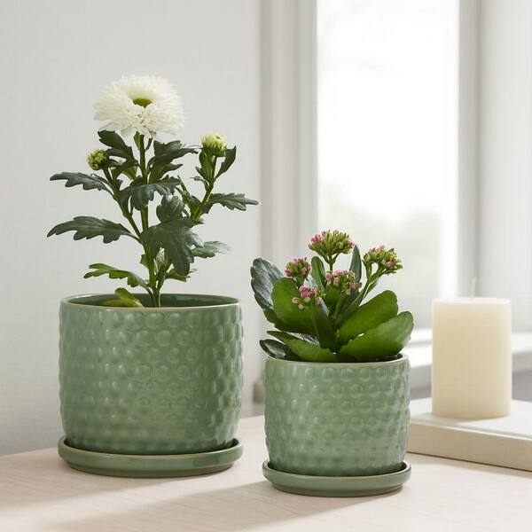 Liv & Skye 6 in. and 8 in. Green Ceramic Bubble Saucer Decorative