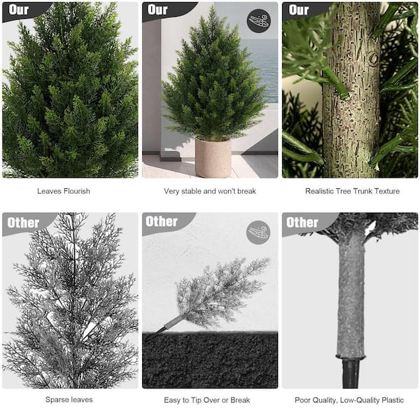 Plastic Tree door Adoreセット売り 2025年最新】Plastic Tree doorAdoreの人気アイテム - メルカリ