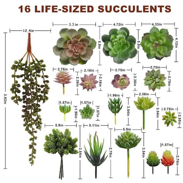 Unbranded 5.9 in.16-Pieces Large Artificial Flocked Succulent  Plants-Unpotted Faux Succulent for Floral Wall and Home Office Decor WK1071