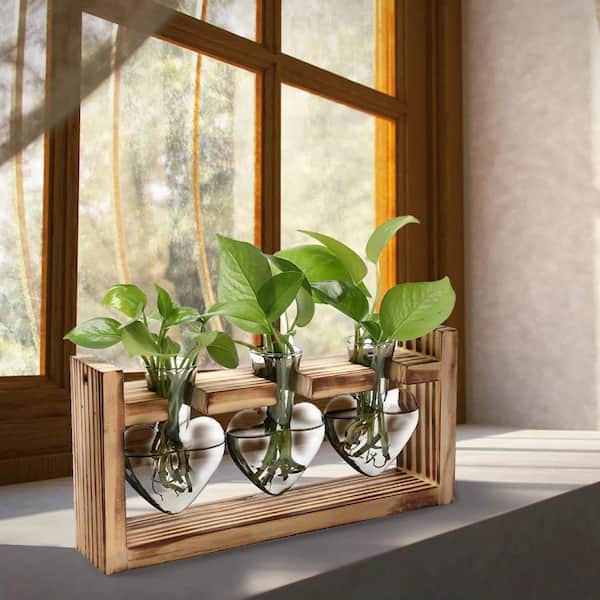 Oyezvary 3.93in. x2.95in. x 1.18in. Clear Glass Heart Indoor Hydroponics Plant Terrarium Propagation Station Wooden Stand Desktop