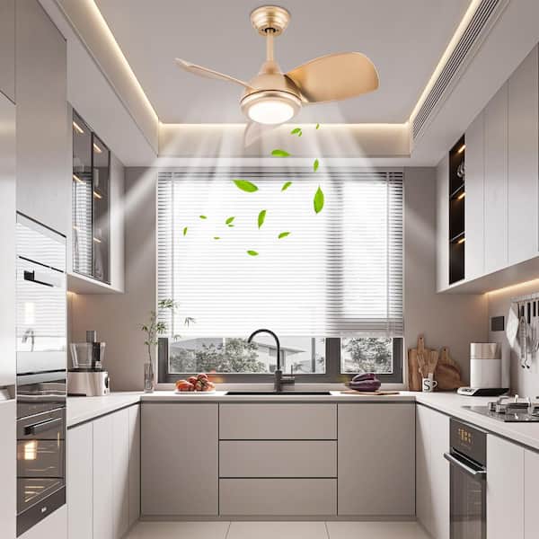 30 in. Indoor Gold Modern 6-Speed Reversible Ceiling Fan with Adjustable White Integrated LED and Remote