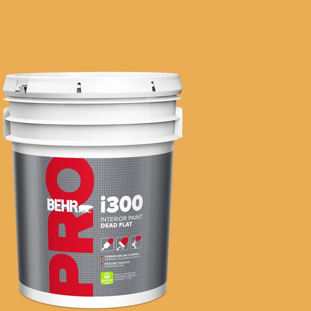 5 gal. #BIC-43 Optimist Gold Dead Flat Interior Paint price history on PriceWatchPro