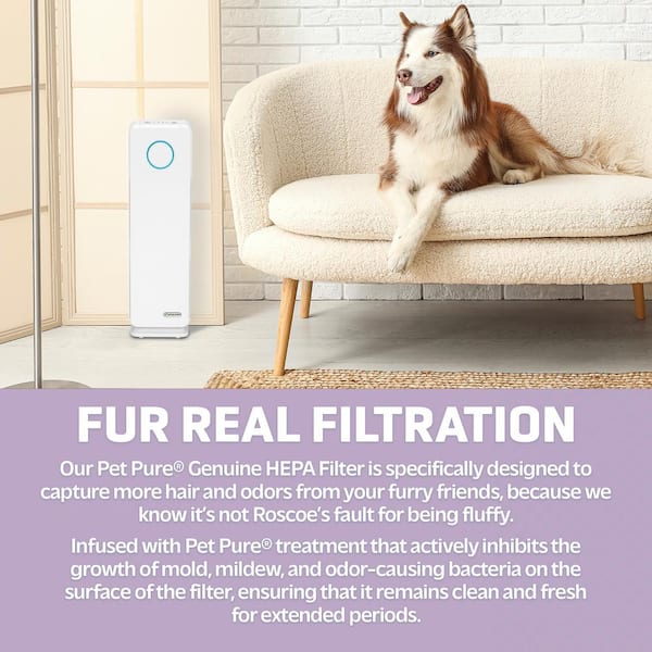 White germ store guardian air purifier