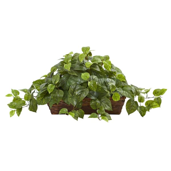 Photo 1 of 15 in. Artificial Pothos with Ledge Basket