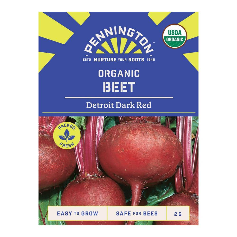 Pennington Organic Beet Detroit Dark Red Vegetable Seed 0811 - The Home ...