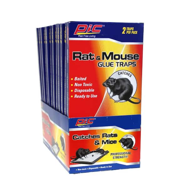 Rat, Mouse, Snake & Insect Glue Trays 12 Count