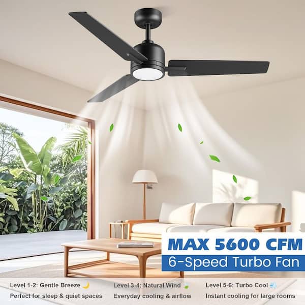 ZXXC 52 in. Indoor/Outdoor Nickel Downrod Mount Ceiling Fan with