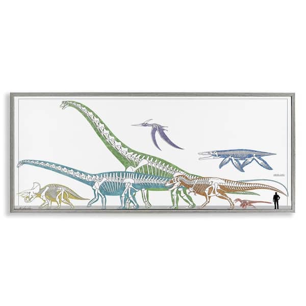 Stupell Industries Educational Prehistoric Skeletons by Lauren Rader Gray Framed Animal Giclee Art Print 10 in. x 24 in.