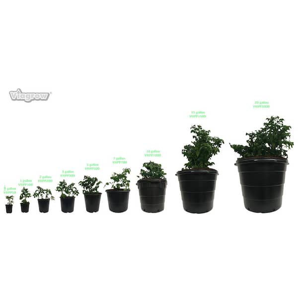 Hydroponics Organic 3 Gal. Black Plastic Nursery Pots (11.36 l) 10-Pack  VHPP300-10 - The Home Depot