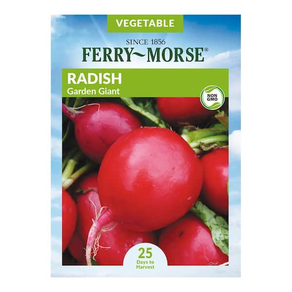 Ferry-Morse Radish Garden Giant Vegetable Seeds
