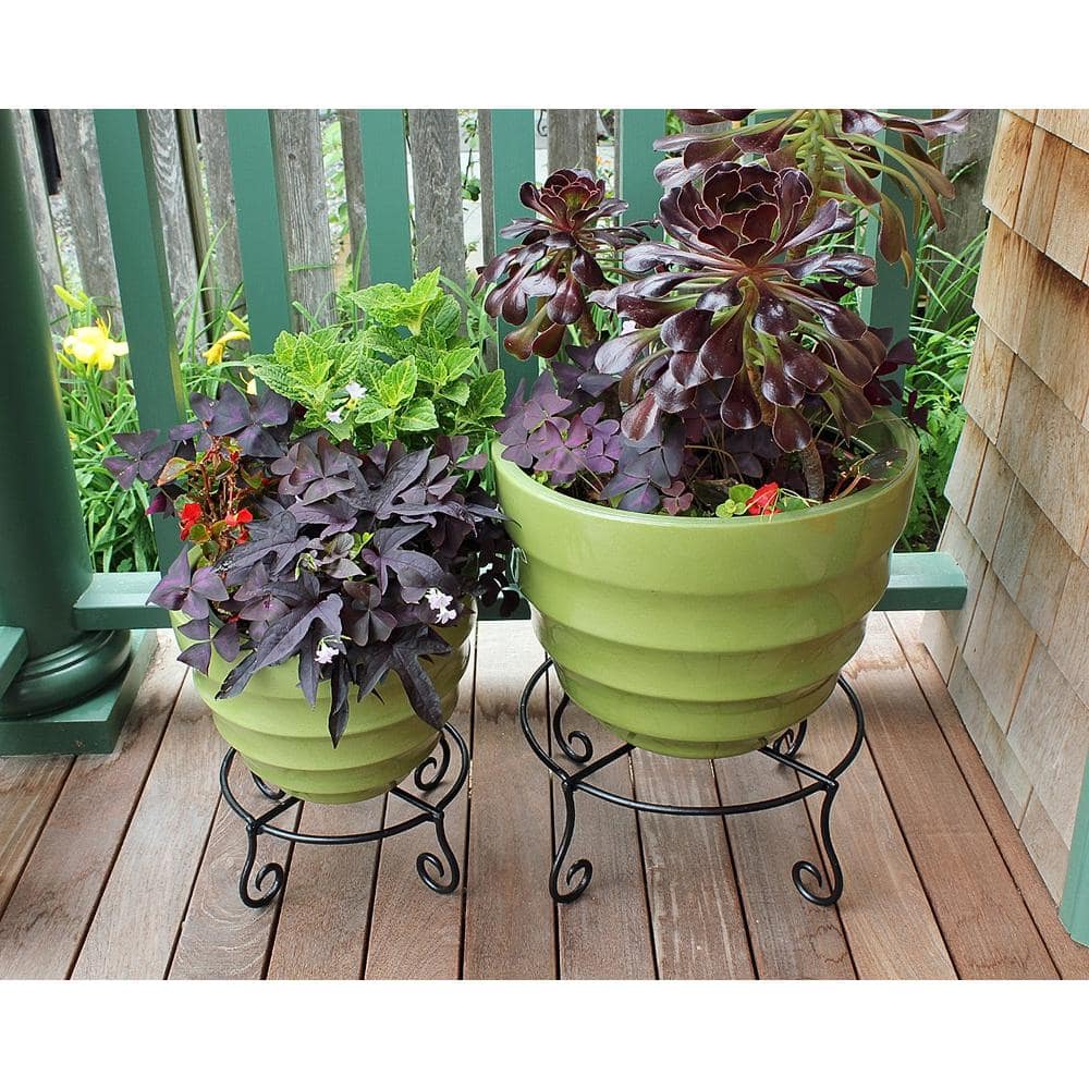 Black Wrought Iron Circular Plant Stand with Scroll Legs