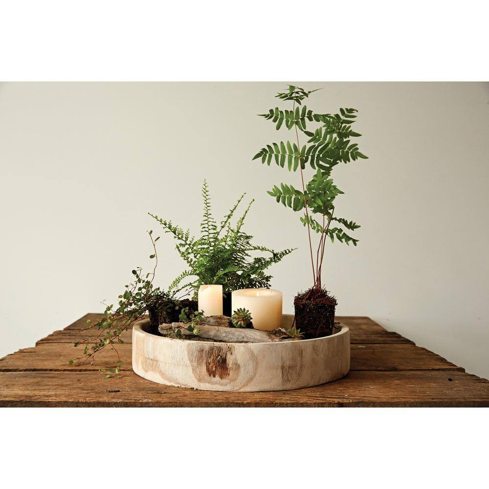 Elegant Hand-Carved Paulownia Wood Decorative Tray