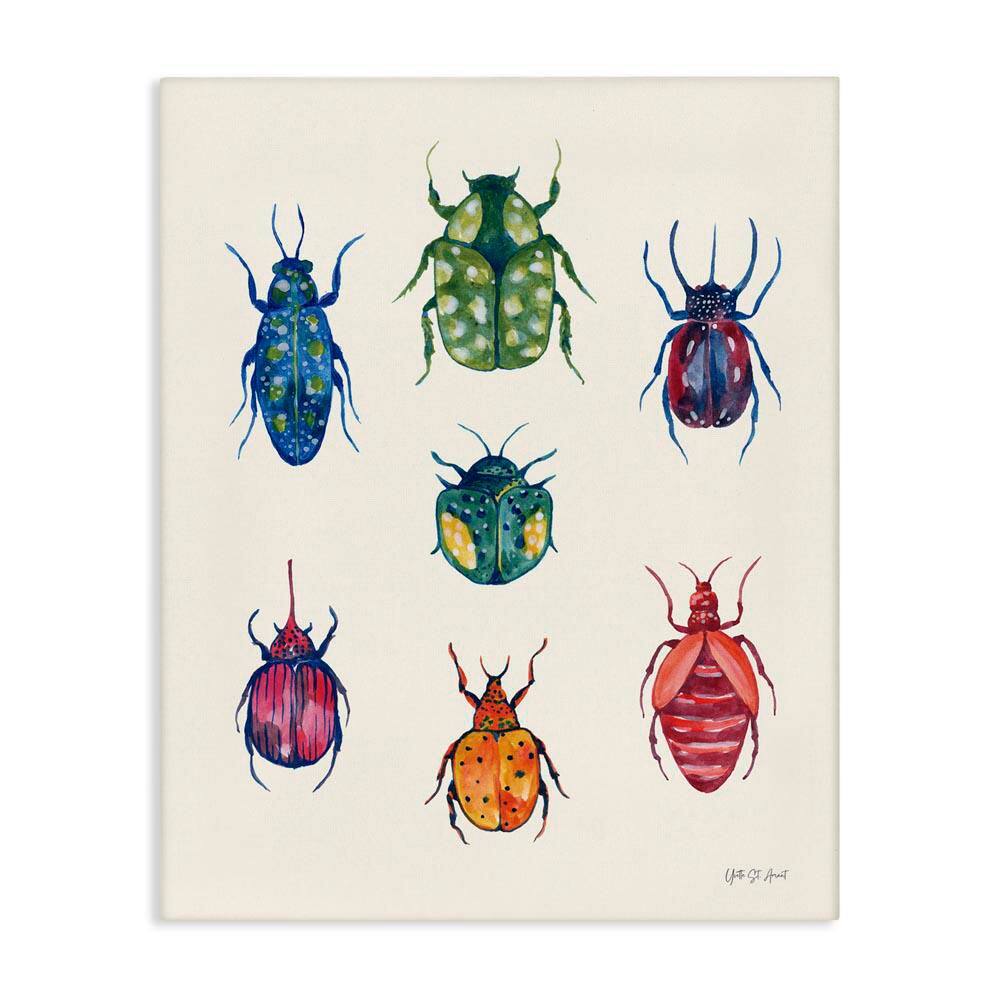 Varied Beetle Chart by Yvette St. Amant Unframed Animal Graphic Art Print 40 in. x 30 in. price history on PriceWatchPro