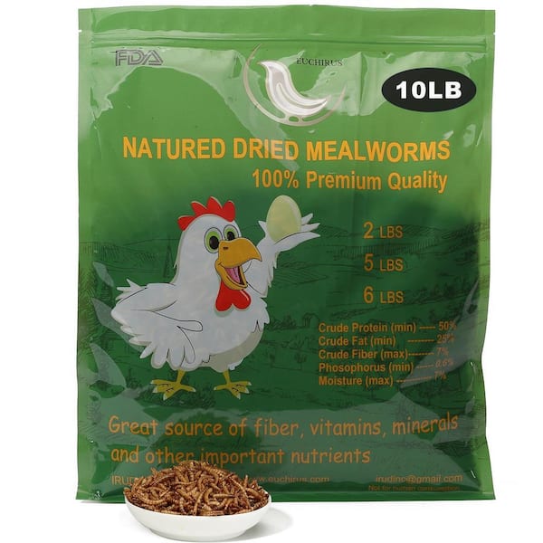 10 lbs. Non-GMO Dried Mealworms for Wild Bird Chicken Fish, High-Protein, Large Meal Worms