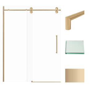 Teegan Plus 59 in. W x 80 in. H Sliding Door with Fixed Panel Semi-Frameless Shower Door with Clear Glass