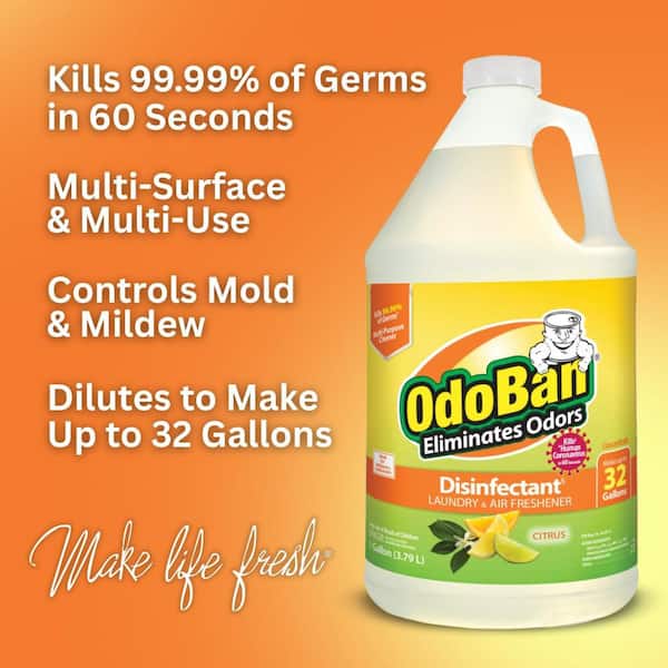 1 Gal. Citrus Disinfectant and Odor Eliminator, Fabric Freshener, Mold Control, All Purpose Cleaner Concentrate (4-Pack)