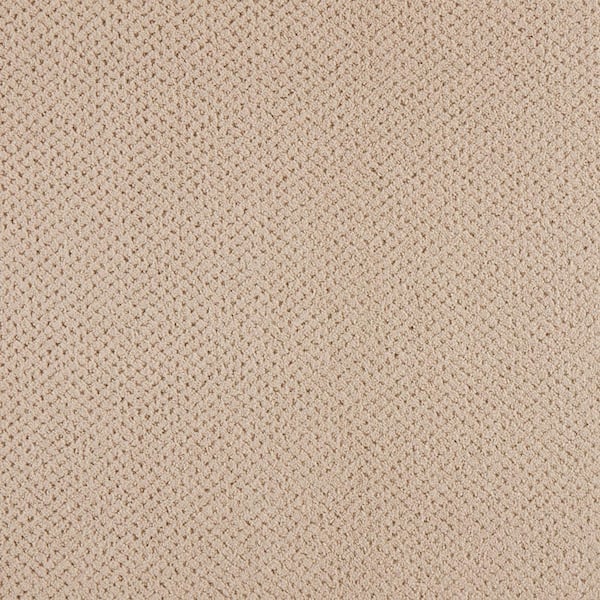 Lifeproof with Petproof Technology Pretty Penny  - Sand Dollar - Beige 50 oz. Triexta Pattern Installed Carpet