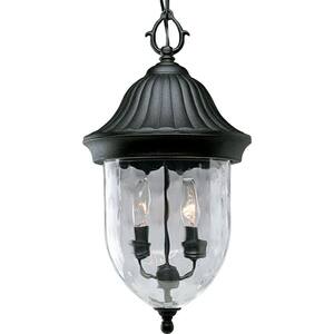 Coventry Collection 2-Light Textured Black Hammered Glass Traditional Outdoor Hanging Lantern Light