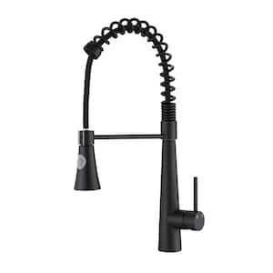 Single Handle Pull Down Sprayer Kitchen Faucet in Matte Black