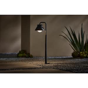 Ludlow Low Voltage Black Hardwired LED Weather Resistant Path Light With Frosted Plastic Shade