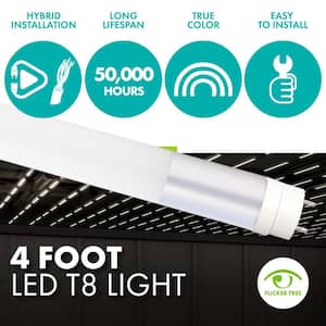 14-Watt/32-Watt Equivalent 4 ft. Linear T8 Hybrid Type A/B LED Tube Light Bulb, Daylight 5000K (10-Pack)