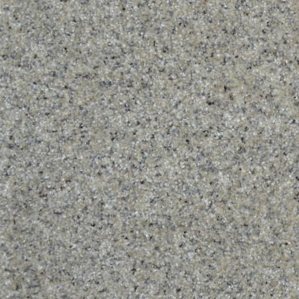 Home Decorators Collection Port Abigail I  - Cove - Beige 45 oz. SD Polyester Texture Installed Carpet