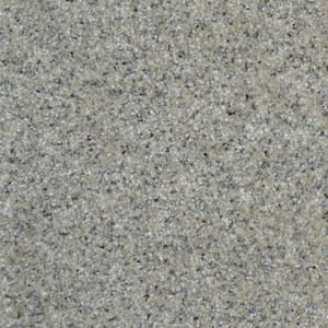 Port Abigail II  - Cove - Beige 60 oz. SD Polyester Texture Installed Carpet