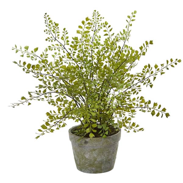 Nearly Natural Indoor Maiden Hair Artificial Plant in Decorative Planter