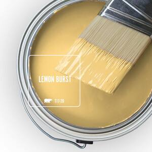 T17-20 Lemon Burst Paint