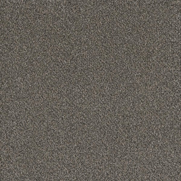 Home Decorators Collection Serene Glory II-Collected Brown-55 oz. SD Polyester Texture Installed Carpet