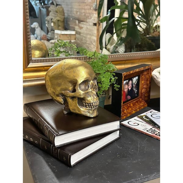 House Parts Human Skull in Gilded Gold finish