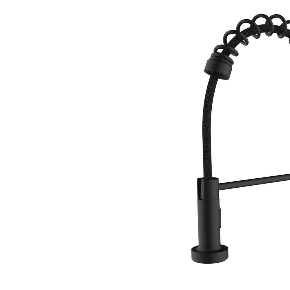 Black Stainless Steel Pull-Out Spray Kitchen Faucet