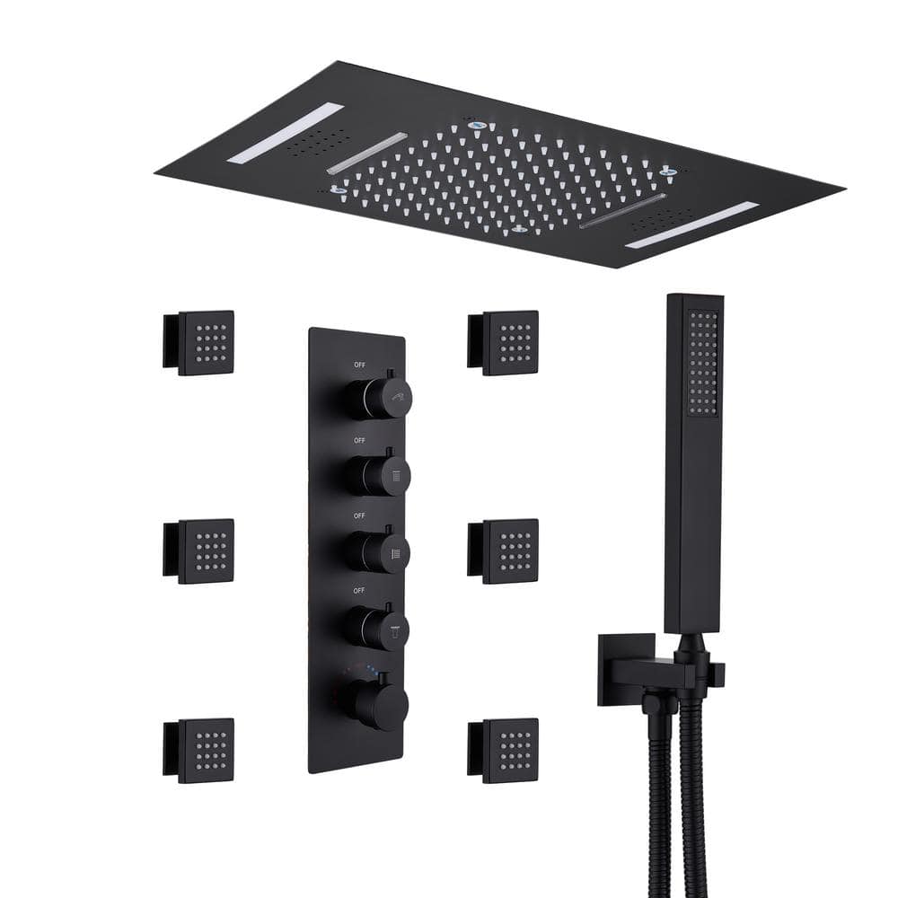 4-Spray Dual Shower Head and Handheld Shower Head Ceiling Mount 2.5 GPM with 6-Body Jets, LED, and Music in Matte Black price history on PriceWatchPro