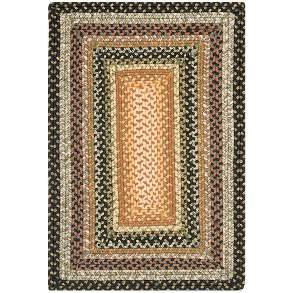 SAFAVIEH Braided Blue/Multi Doormat 2 ft. x 3 ft. Border Area Rug