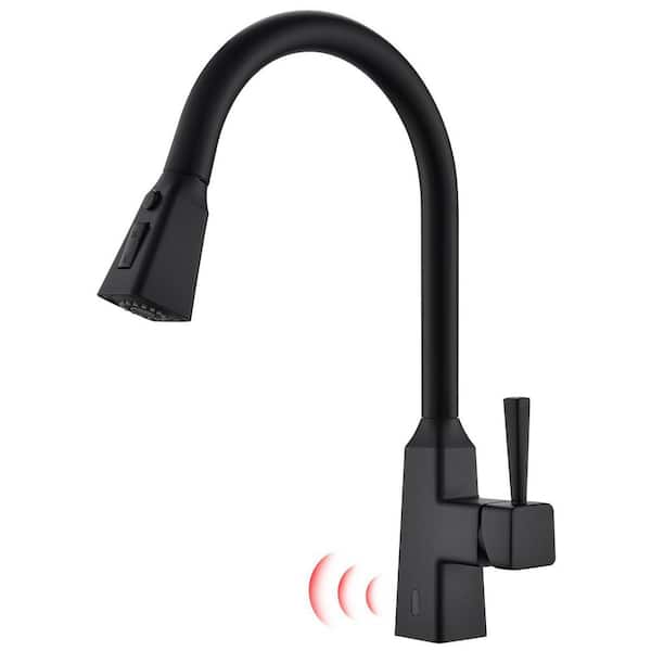 Flynama Three Modes of Spray Induction Zinc Alloy Kitchen Faucet in Black