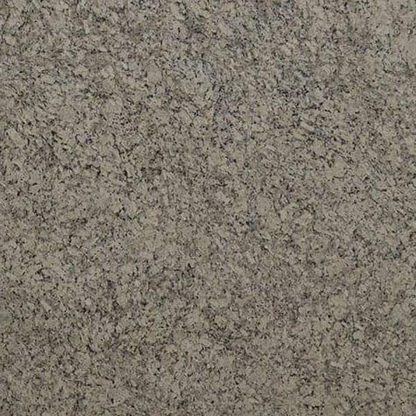 STONEMARK 3 in. x 3 in. Granite Countertop Sample in Silver Diamond