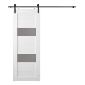 Berta 18 in. x 80 in. 2-Lite Frosted Glass Snow White Wood Composite Sliding Barn Door with Hardware Kit