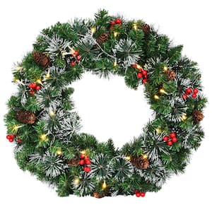 24 in. Green Pre-Lit LED Artificial Christmas Wreath with Pinecones and Red Berries