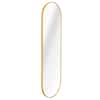 LCEPURE TRADE INC Gold 20 in. W x 60 in. H Decorative Mirror Oval Metal Aluminum Full Length Mirror Vanity Mirror for Living Room JY25032402