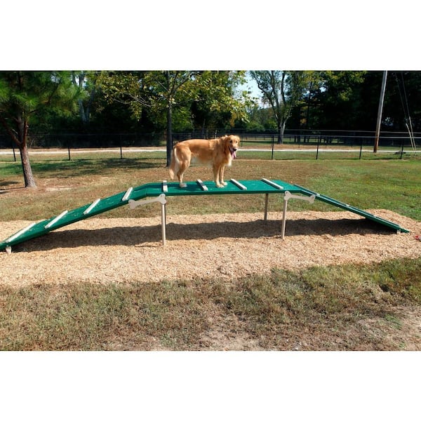 Expert Bark Park Obstacle Course