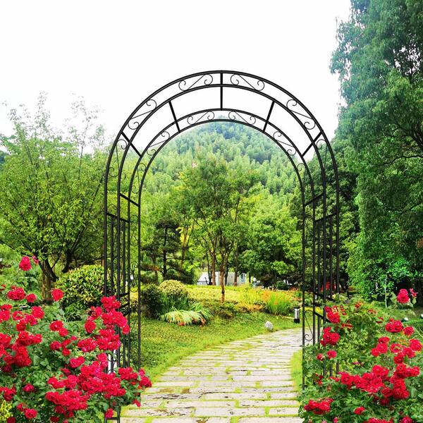 Metal Garden Arch L59'' x W17. 71'' x H90. 55'' Climbing Plants
