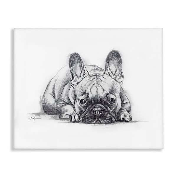 Stupell Industries French Bulldog Naptime by Lindsay Kivi Fine Art Unframed Animal Graphic Art Print 24 in. x 30 in.
