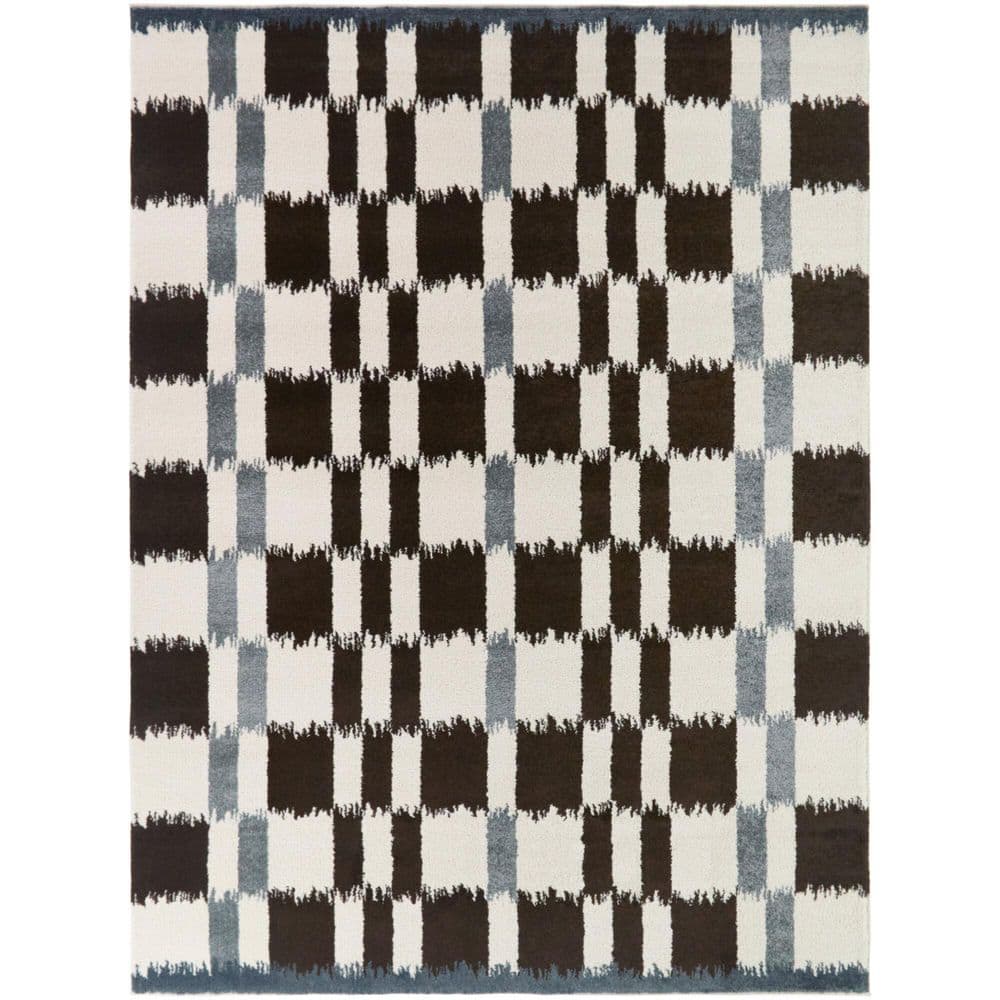 Noack Blue 5 ft. x 7 ft. Checkered Ikat Area Rug price history on PriceWatchPro