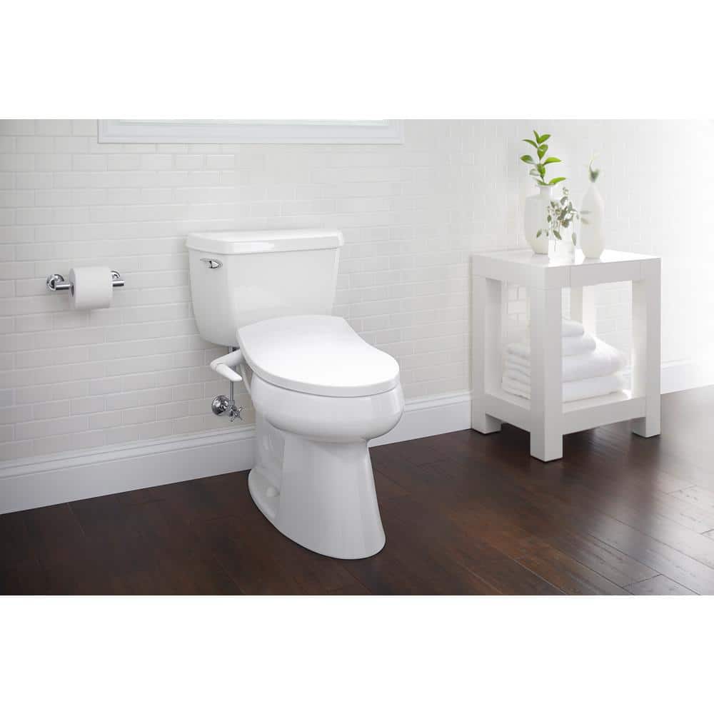 Polished Chrome Wall-Mount Pivoting Toilet Paper Holder