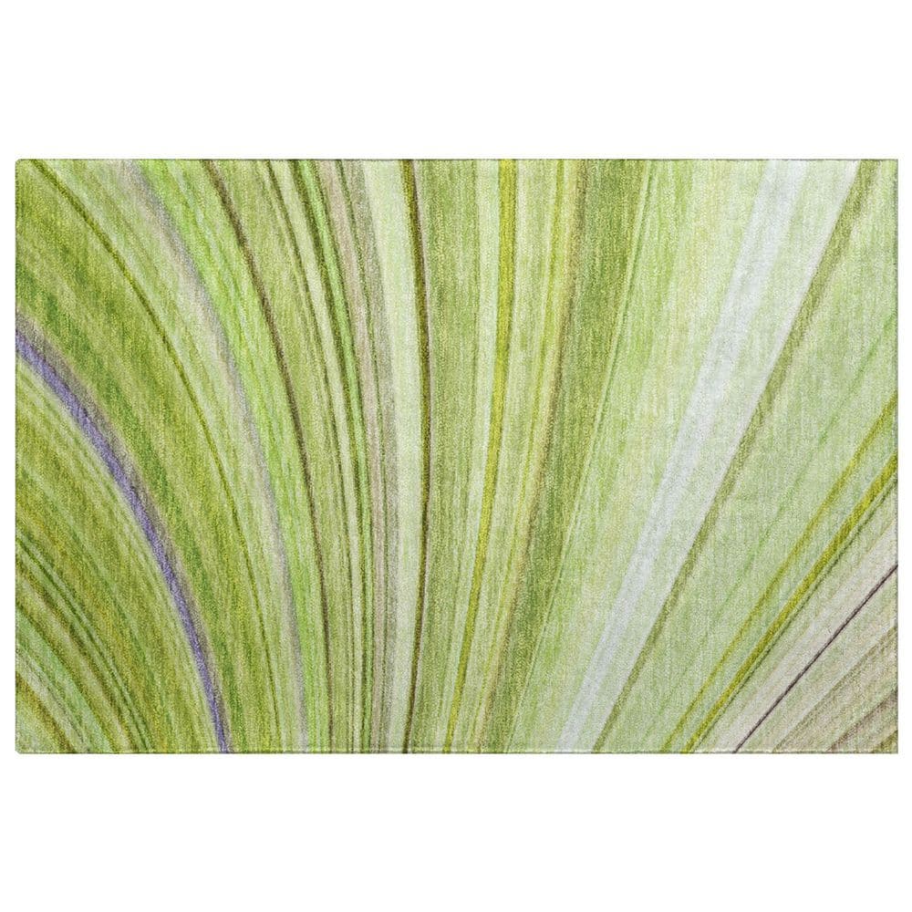 Dream Shag Premium Machine Washable Abstract ADS585 Aloe 2 ft. x 3 ft. Accent Rug price history on PriceWatchPro