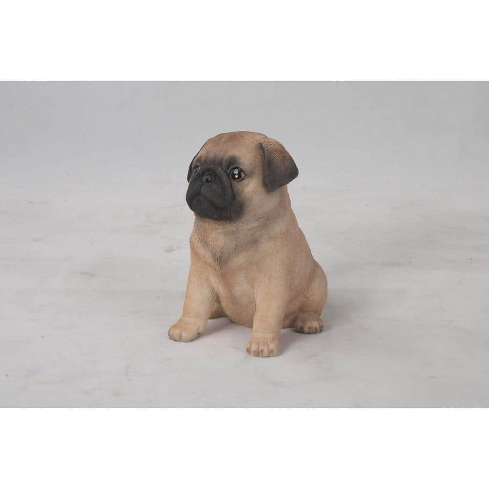 Realistic Tan and Black Sitting Pug Puppy Statue