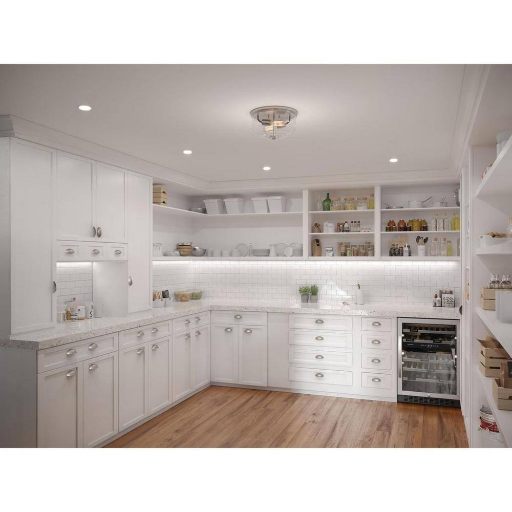 Rushton Brushed Nickel 2-Light Flush Mount with Clear Glass Shade