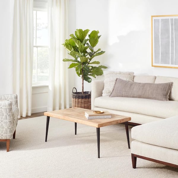 Sonoma Handwoven Performance Ivory 2 ft. x 3 ft. Indoor Area Rug