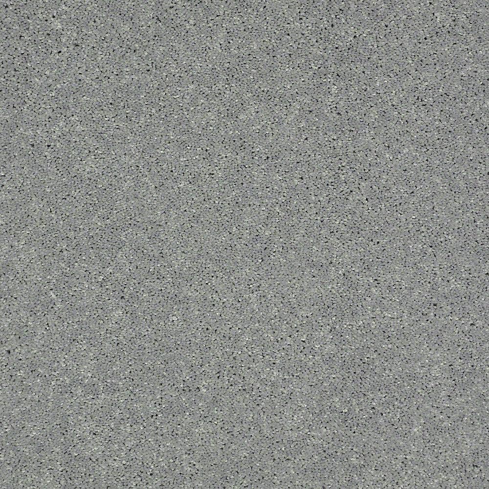 8 in. x 8 in. Texture Carpet Sample - Brave Soul II - Color Atmospheric price history on PriceWatchPro